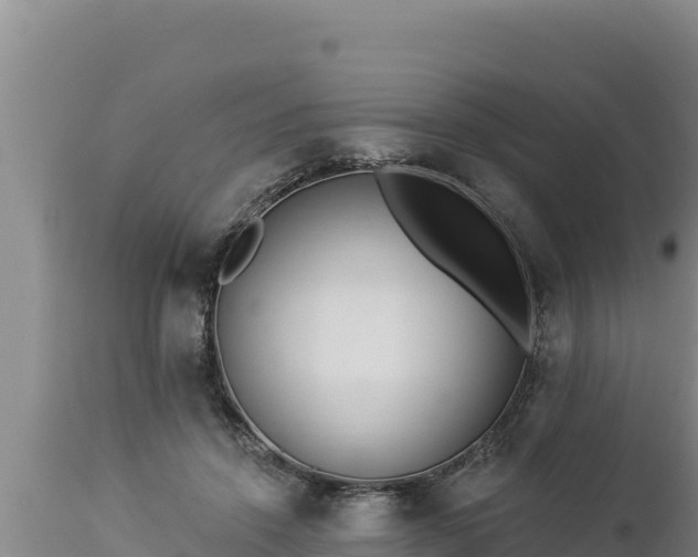 X0000112820456200908281535