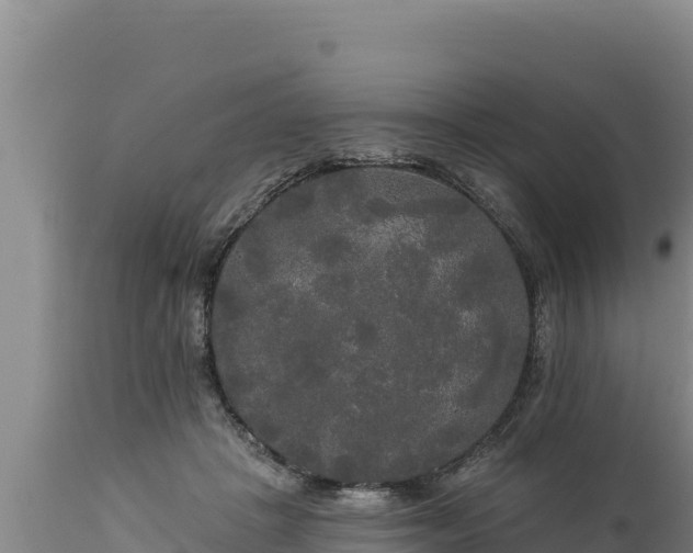 X0000112820457200908281535