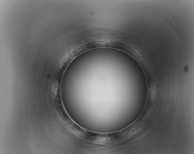 X0000112820458200908281535