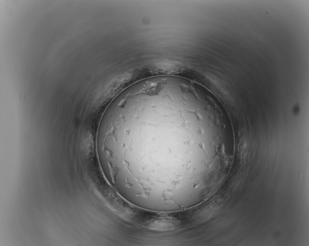 X0000112820459200908281535