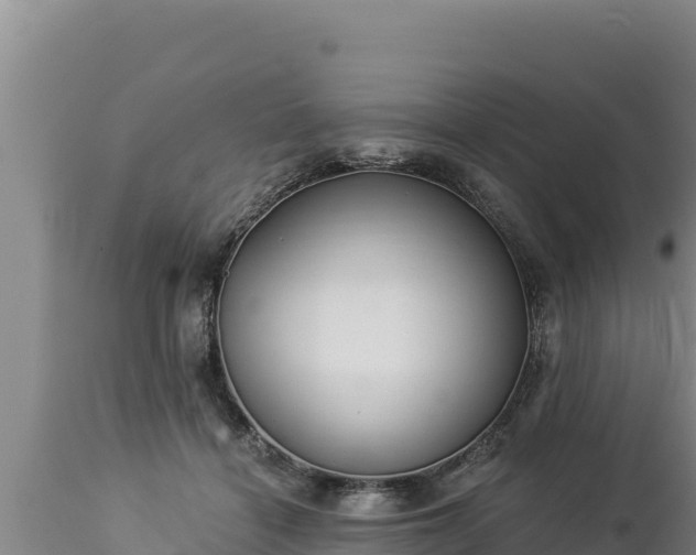 X0000112820460200908281535