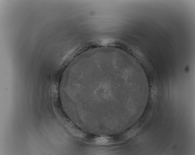 X0000112820461200908281535