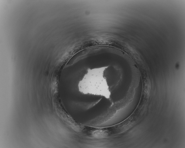 X0000112820465200908281535