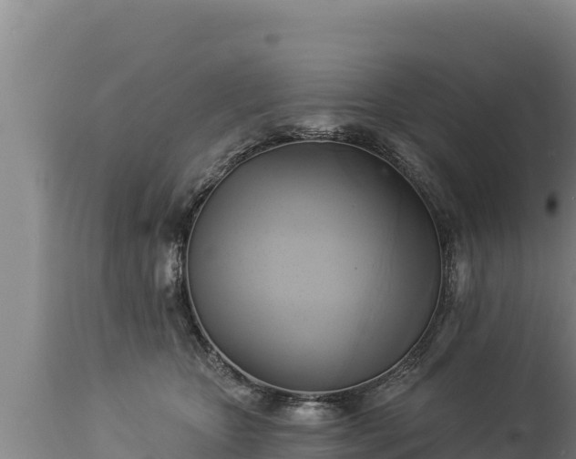 X0000112820467200908281535