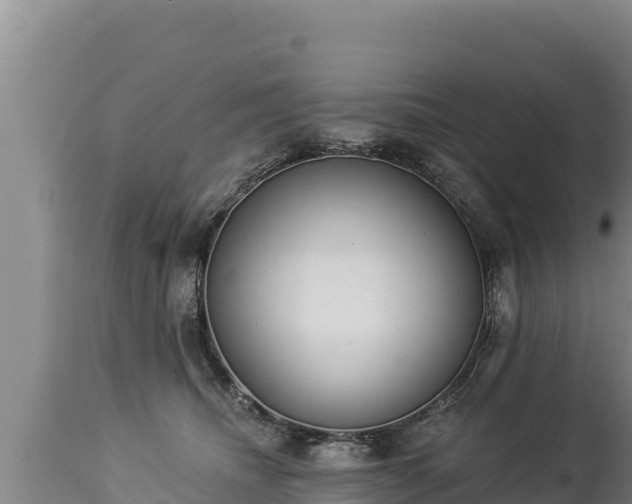 X0000112820468200908281535