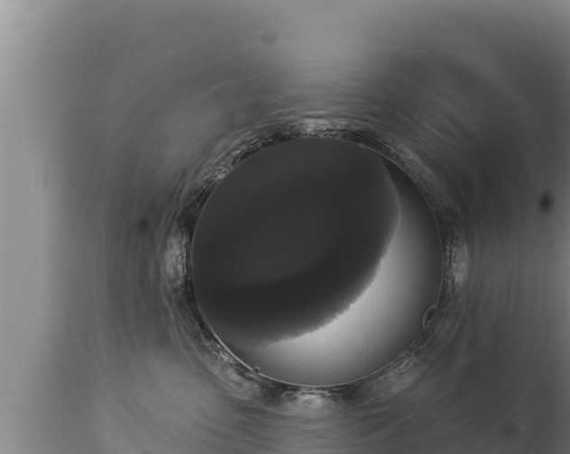 X0000112820475200908281535