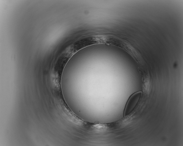 X0000112820477200908281535