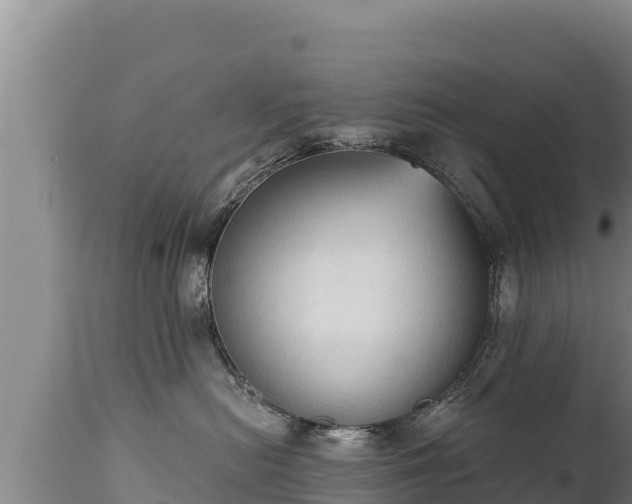 X0000112820478200908281535