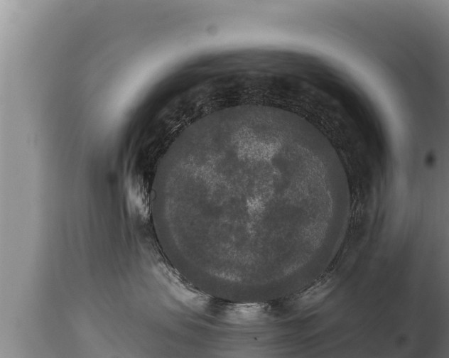 X0000112820479200908281535