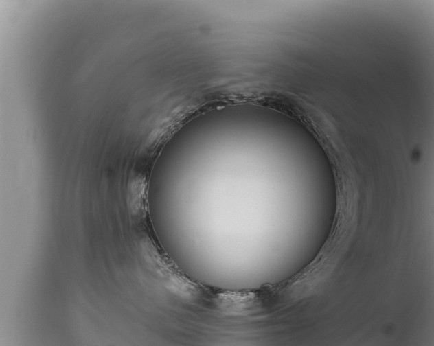 X0000112820480200908281535