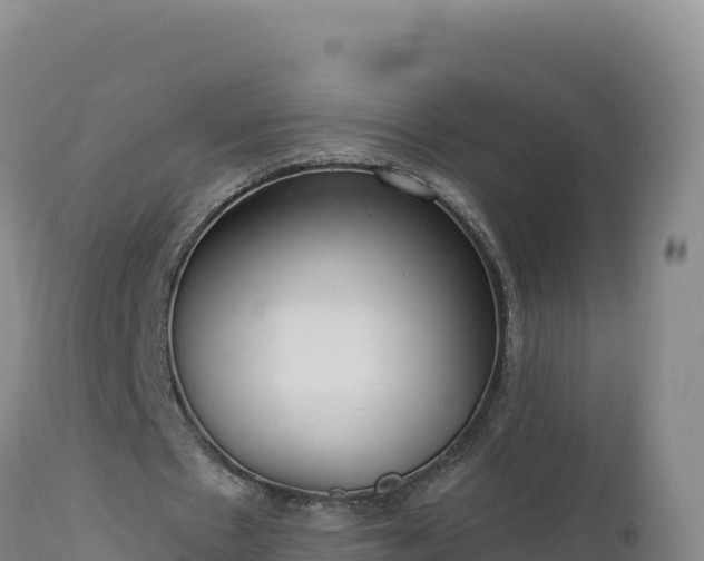 X0000112820481200908281534