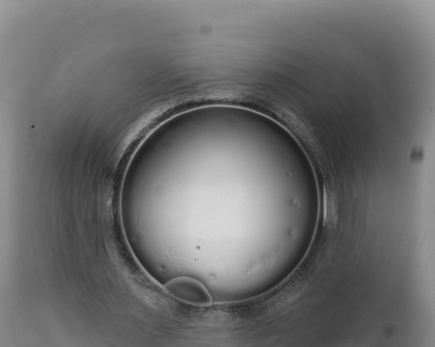 X0000112820483200908281534