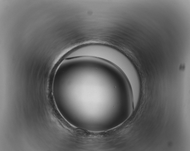 X0000112820484200908281534