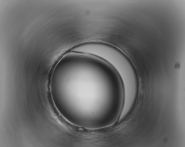 X0000112820485200908281534