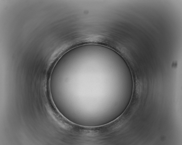 X0000112820486200908281534