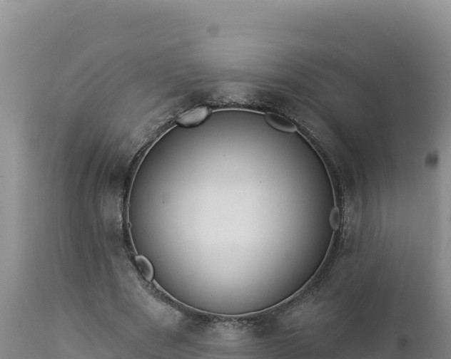 X0000112820489200908281534