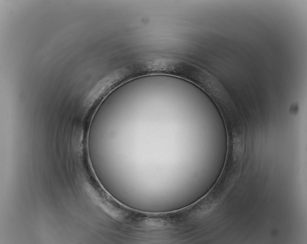 X0000112820490200908281534