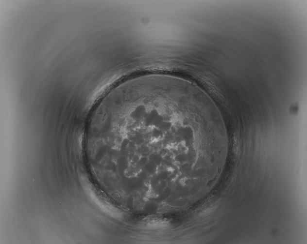 X0000112820491200908281534