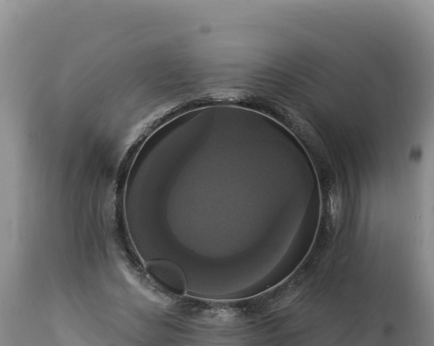 X0000112820492200908281534