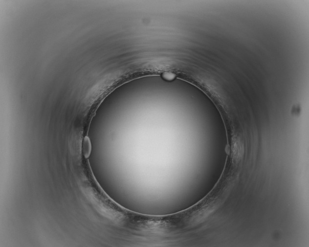 X0000112820493200908281534