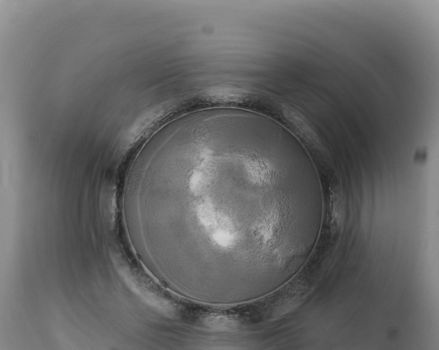 X0000112820494200908281534