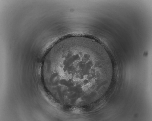 X0000112820495200908281534