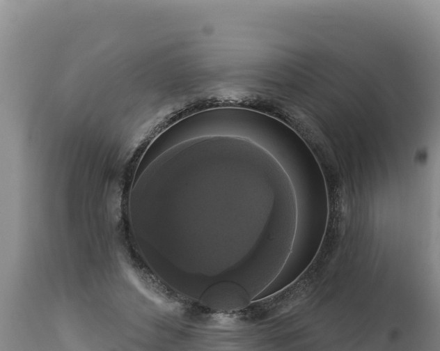 X0000112820496200908281534