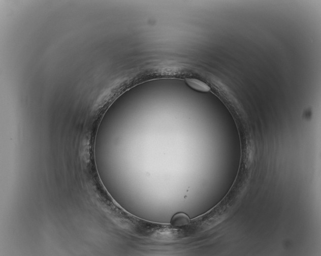 X0000112820497200908281534