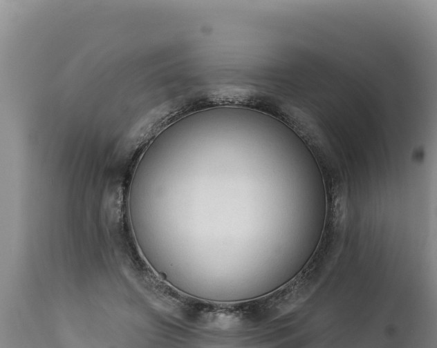 X0000112820498200908281534