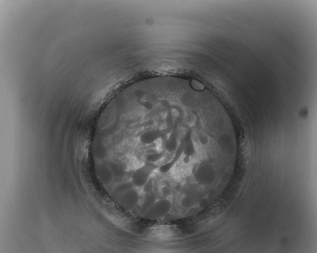 X0000112820499200908281534