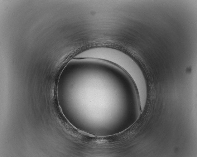 X0000112820501200908281534