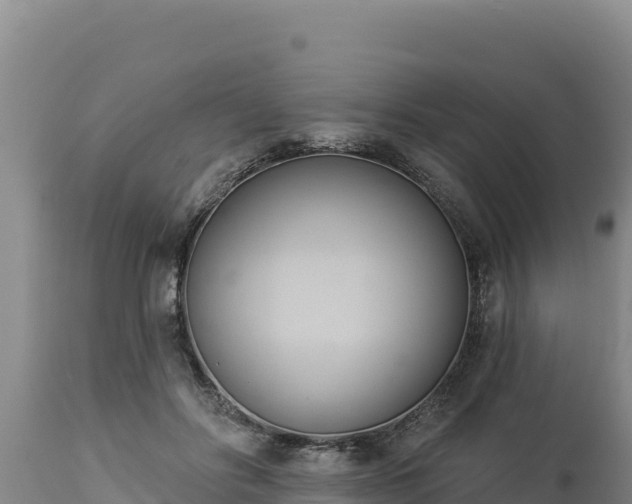 X0000112820502200908281534