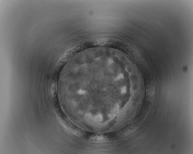 X0000112820503200908281534