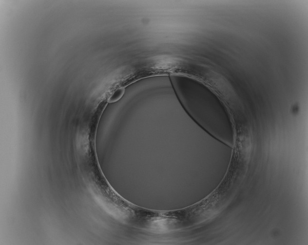 X0000112820504200908281534