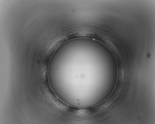 X0000112820505200908281534