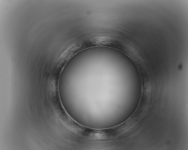 X0000112820506200908281534