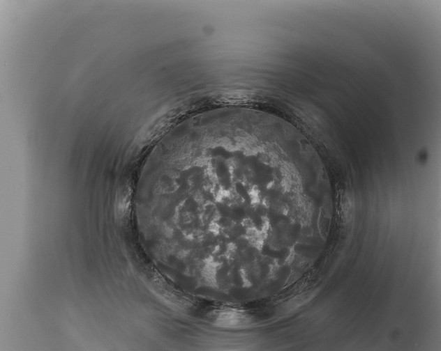 X0000112820507200908281534