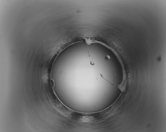 X0000112820508200908281534