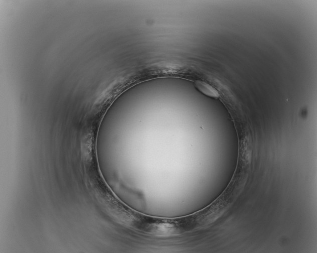 X0000112820509200908281534