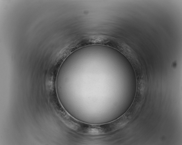 X0000112820510200908281534