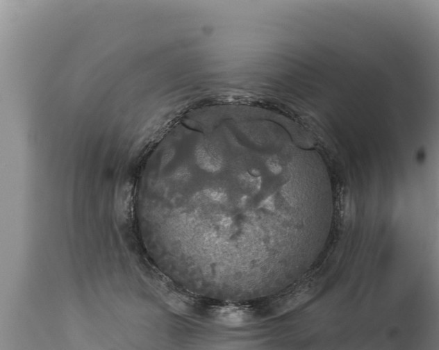 X0000112820511200908281534