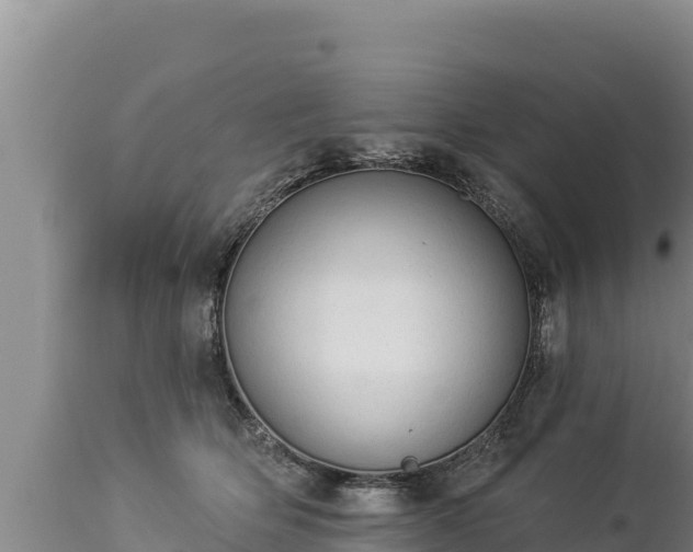 X0000112820514200908281534