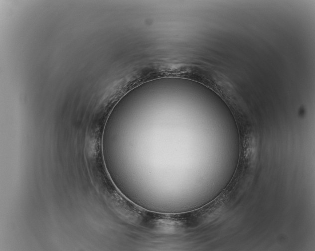 X0000112820515200908281534