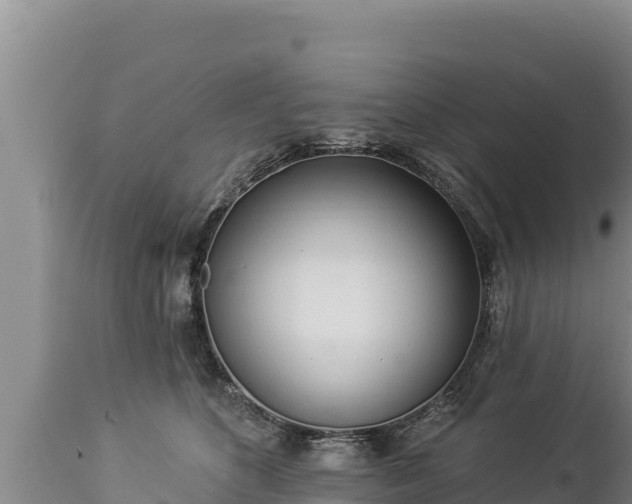 X0000112820516200908281534