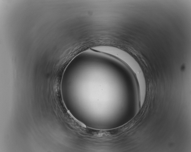 X0000112820517200908281534