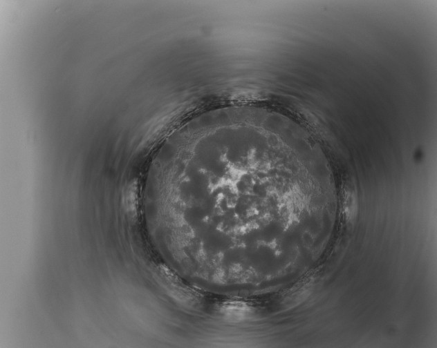 X0000112820519200908281534