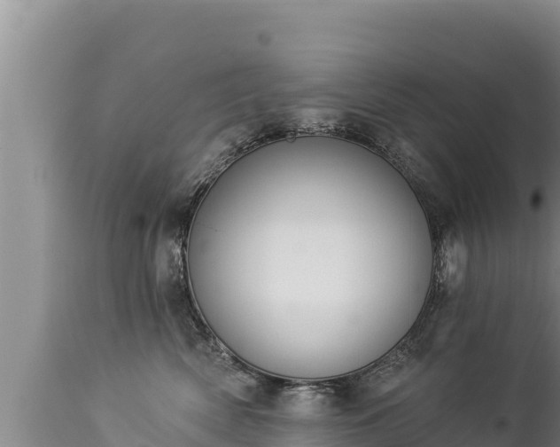 X0000112820522200908281534