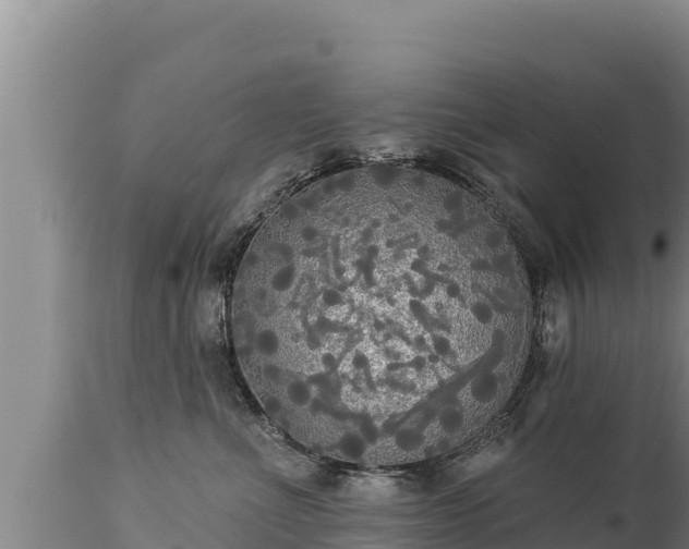 X0000112820523200908281534