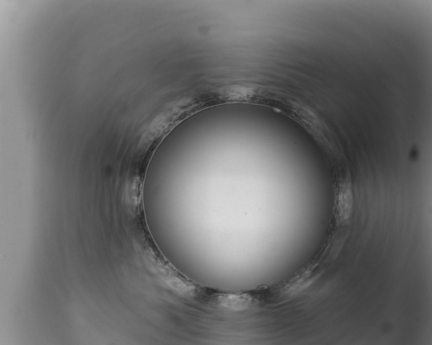 X0000112820525200908281534