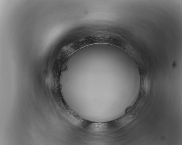 X0000112820526200908281534